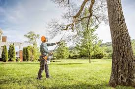 Best Weed Control  in La Porte, TX