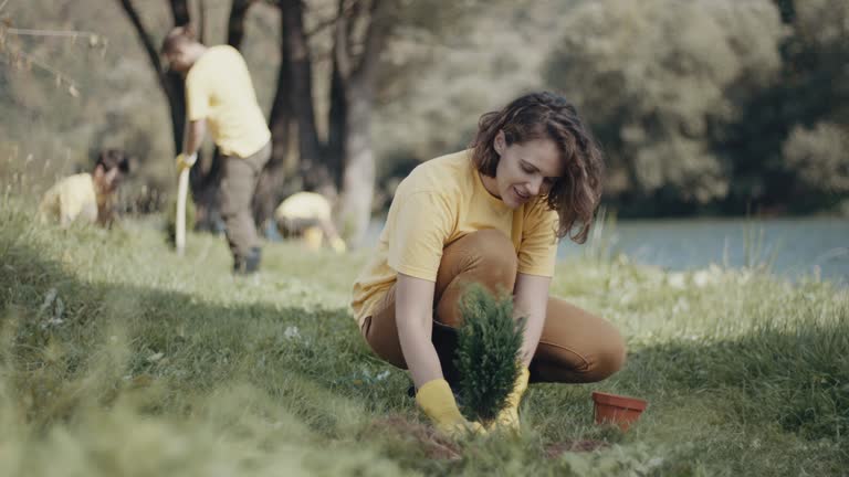 Best Root Management and Removal  in La Porte, TX
