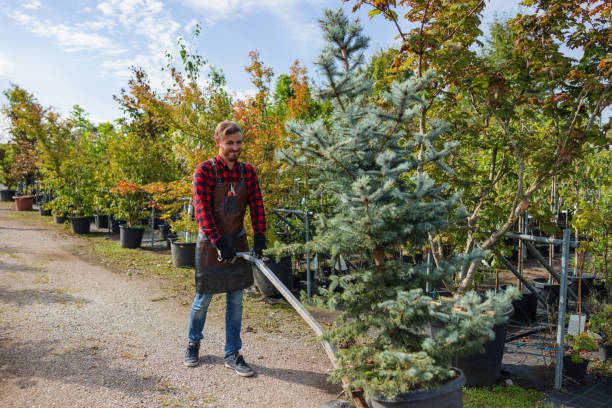 La Porte, TX Tree Services Company